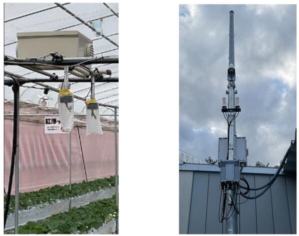 ローカル5Gサービス「ギガらく5G」を環境構築に提供するNTT東日本