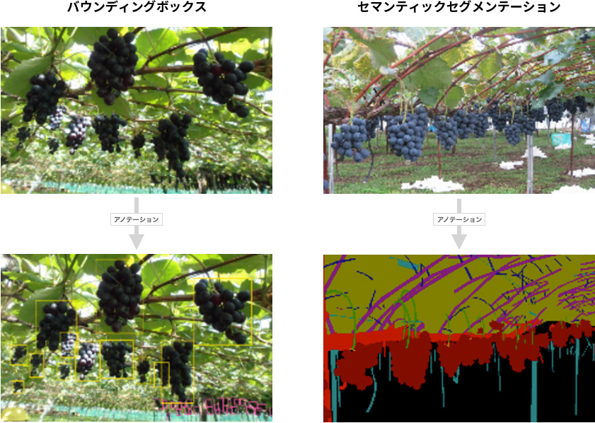 農作業　https://annotation.brycen.co.jp/case/farm-equipment-ai-crops.html