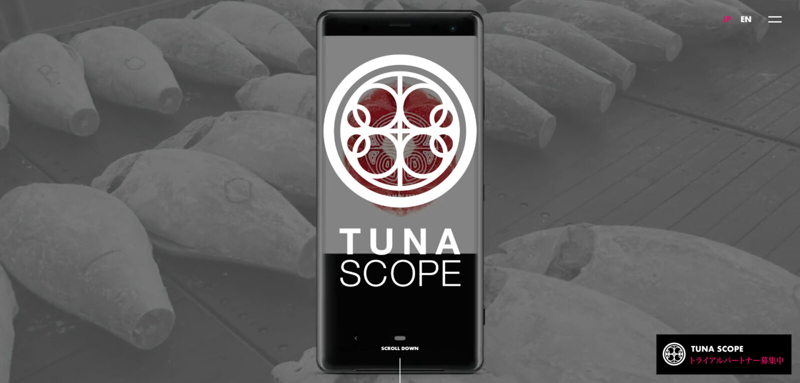 ベテラン従業員の正確な鮮度判定を再現できる　https://tuna-scope.com/jp/