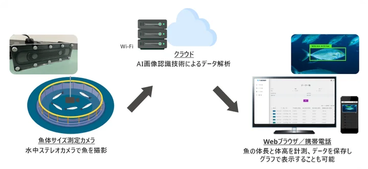 養殖エビの成長をAIが正確に測定。アイエンター社がホテル三日月と共同実験、世界の養殖需要に応える新技術を確立へ