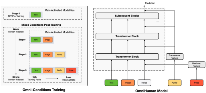 本研究の提案手法はOmniHuman ModelとOmni-Condetions Trainingにより構成される