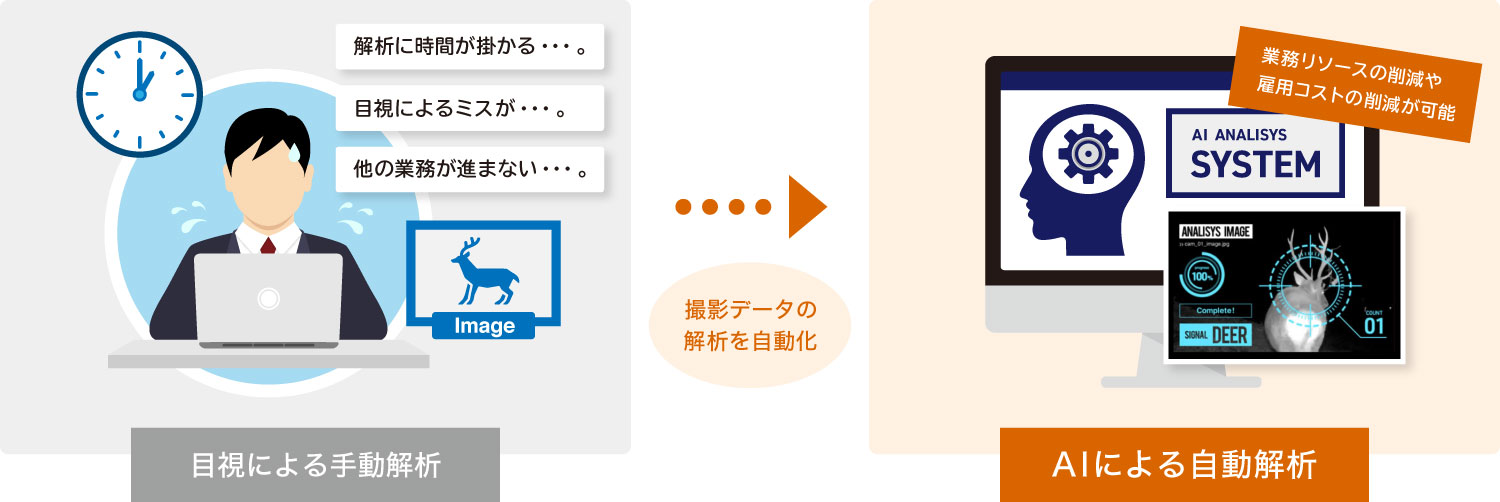 大量のトレイルカメラ画像をAIが代行解析するスカイシーカーのサービス